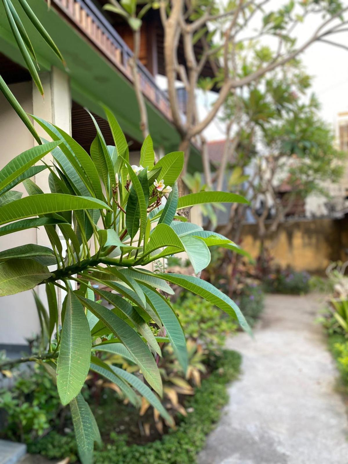艾湄湾 艾湄小蜜蜂旅馆酒店 外观 照片